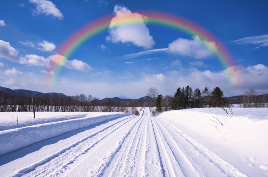 雪道
