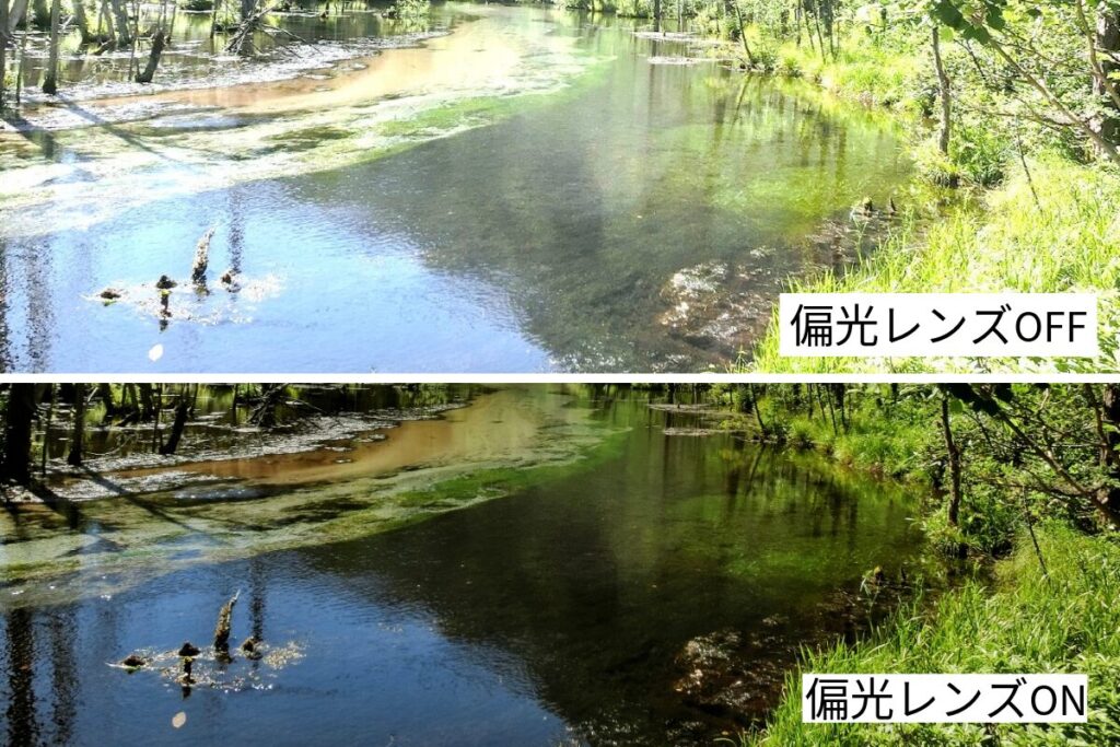 偏光レンズ　見え方比較