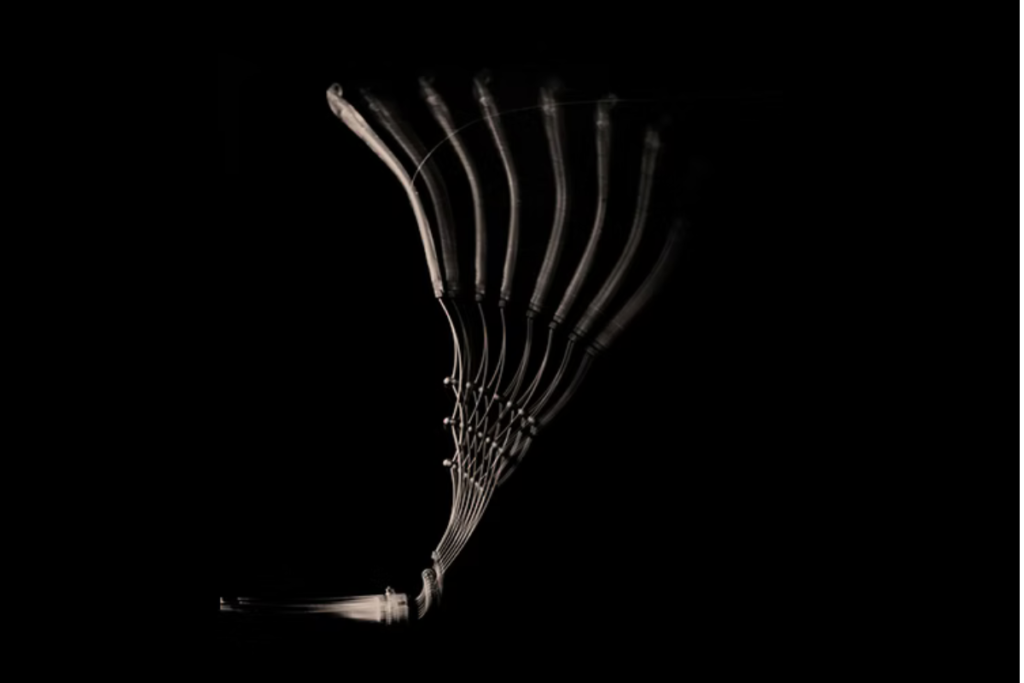 ラインアート　エクセレンスチタン