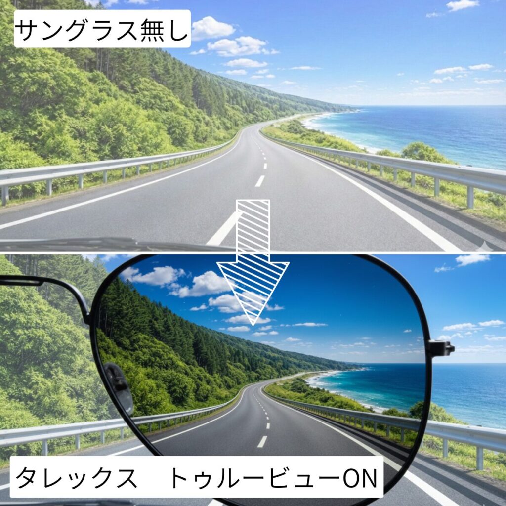 タレックス トゥルービュー