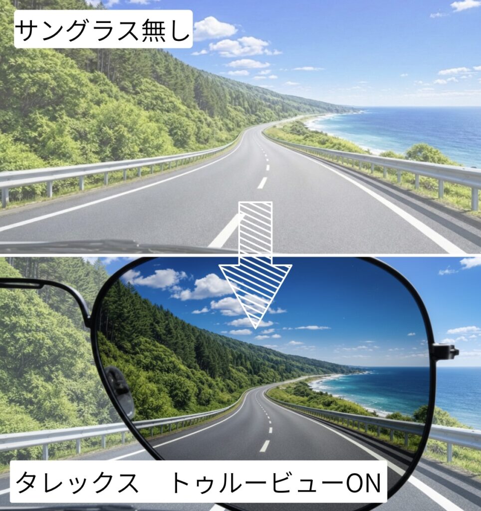 タレックス　トゥルービュー
