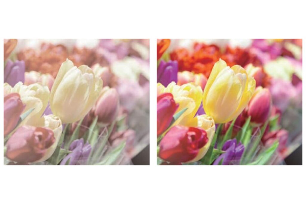 レイマスター「ナチュラルルック」