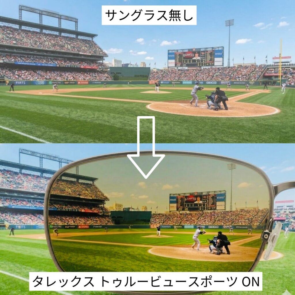 タレックス　トゥルービュースポーツ