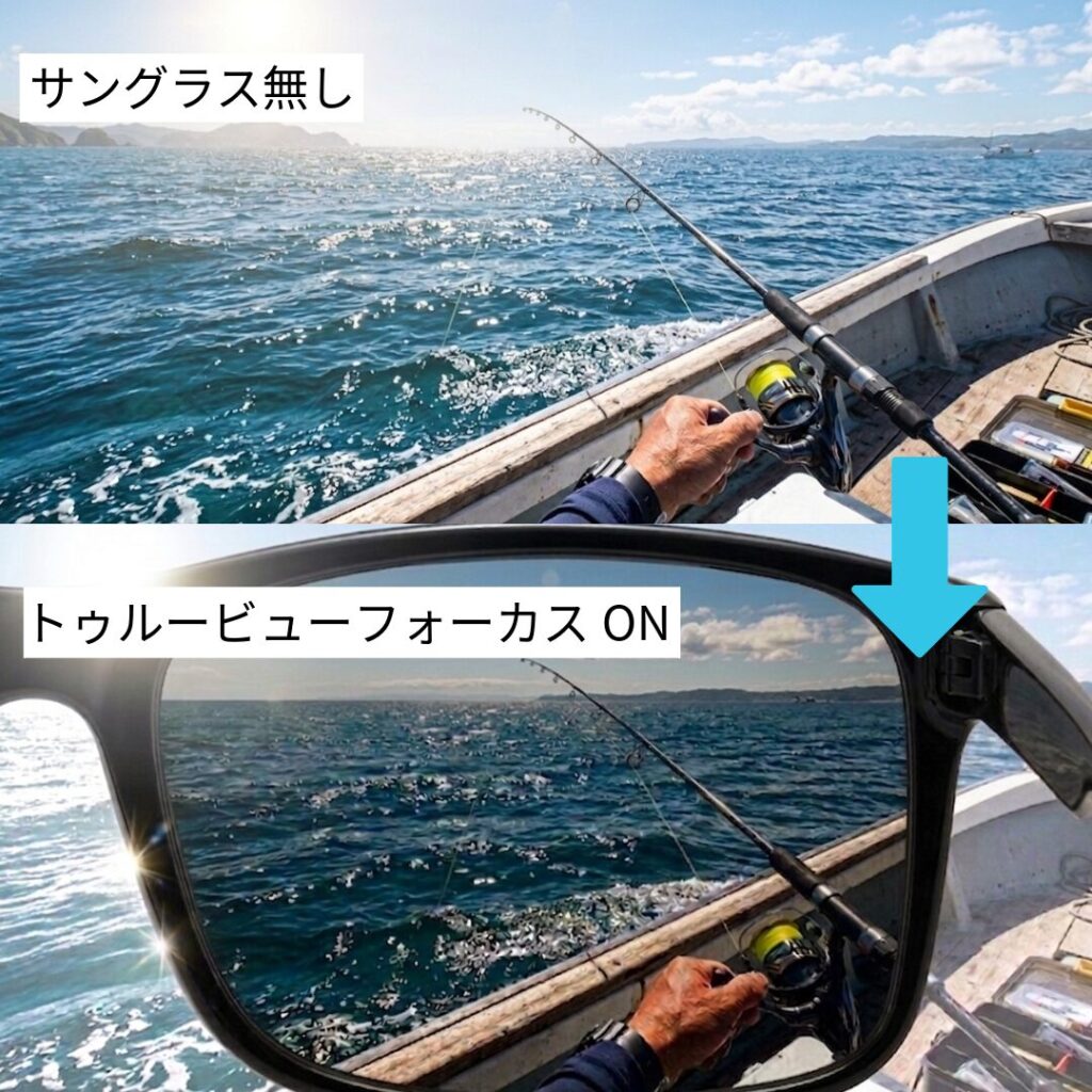タレックス　トゥルービューフォーカス