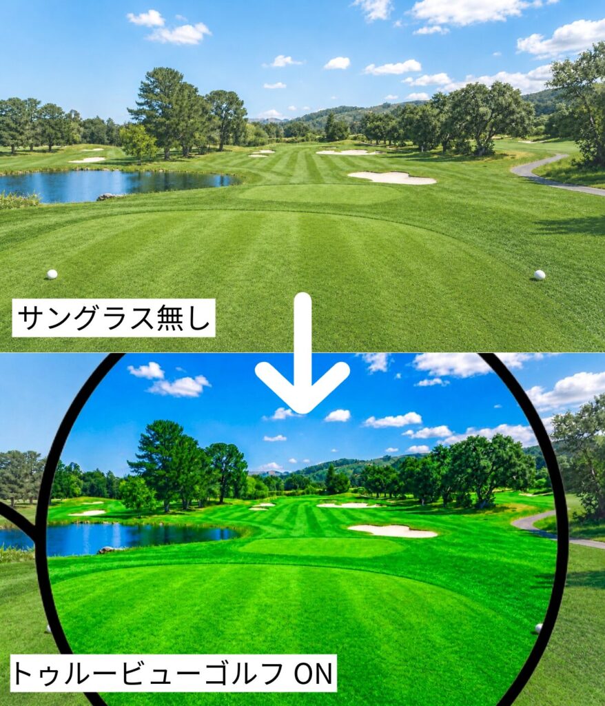 タレックス　トゥルービューゴルフ