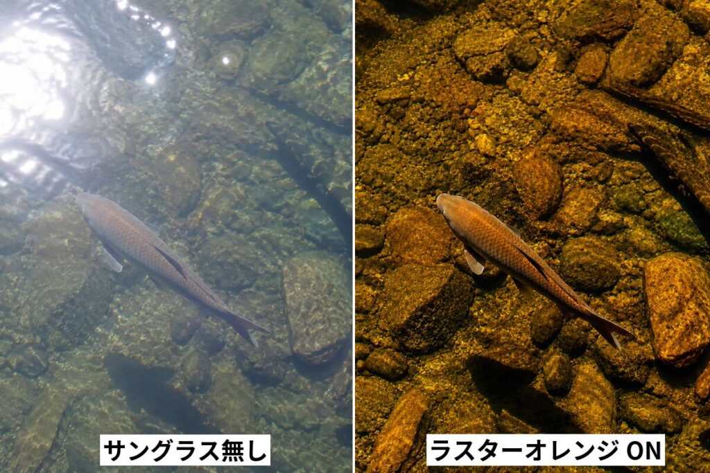 タレックス ラスターオレンジ